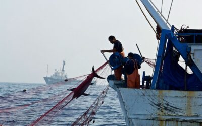 FAO – CÓDIGO DE CONDUCTA PARA LA PESCA RESPONSABLE
